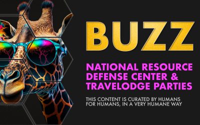 Weekly Buzz: National Resource Defense Center & Travelodge Parties