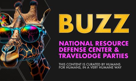 Weekly Buzz: National Resource Defense Center & Travelodge Parties