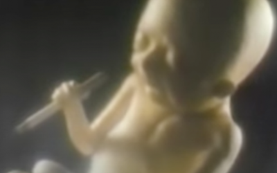 AdWatch: American Cancer Society | Smoking Fetus