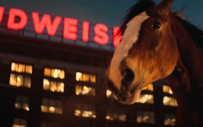 AdWatch: Anheuser-Busch | Together We Will Run Again