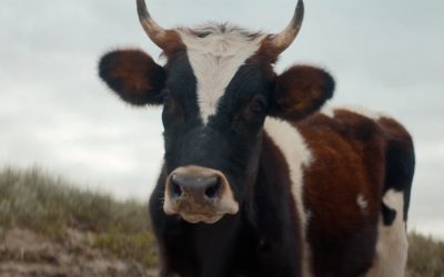 AdWatch: Beyond Meat | What If We All Go Beyond