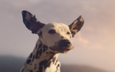 AdWatch: Budweiser | Wind Never Felt Better