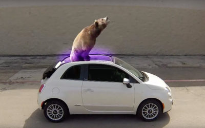 AdWatch: FIAT | GIF Endless Fun