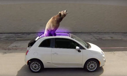 AdWatch: FIAT | GIF Endless Fun