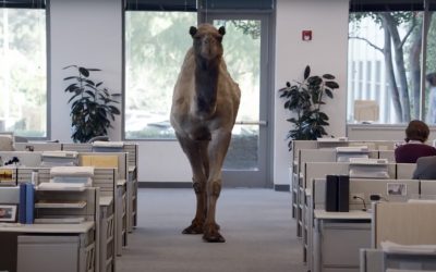 AdWatch: GEICO | Hump Day