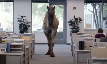 AdWatch: GEICO | Hump Day