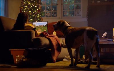 AdWatch: Microsoft | Find Your Joy – A Dog’s Dream