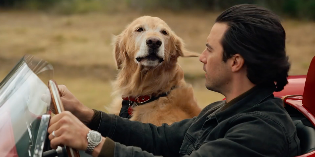 AdWatch: 20th Century Fox | The Art of Racing in the Rain