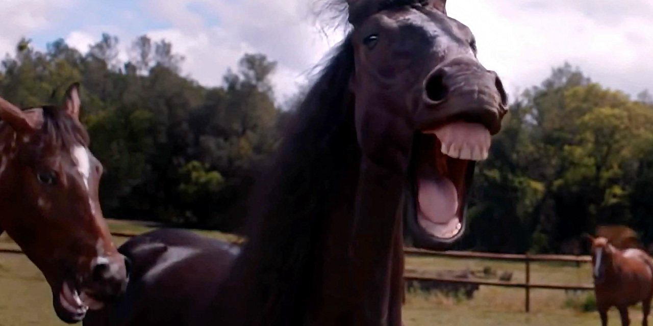 AdWatch: Volkswagen | Laughing Horses