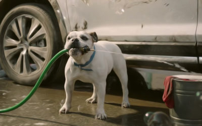 AdWatch: Subaru | The Barkleys – Car Wash