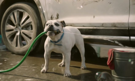 AdWatch: Subaru | The Barkleys – Car Wash