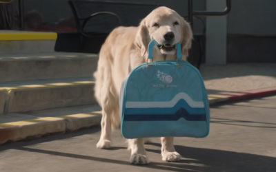 AdWatch: Subaru | The Barkleys – Drive Away