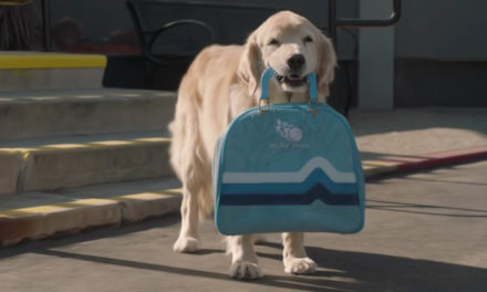 AdWatch: Subaru | The Barkleys – Drive Away