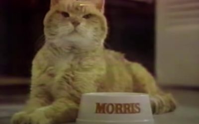 AdWatch: 9-LIVES | Morris