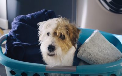 AdWatch: Downy |  Unstopables Super Bowl Not Doing It Yet