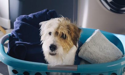 AdWatch: Downy |  Unstopables Super Bowl Not Doing It Yet