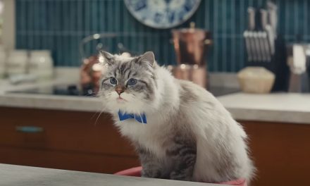 AdWatch: HELLMANN’S | Mayo Cat