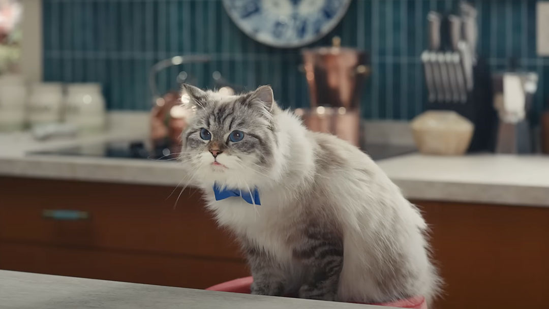 super bowl commercial cat mayo