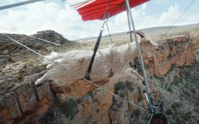 AdWatch: VIRGIN MEDIA | Goat Glider