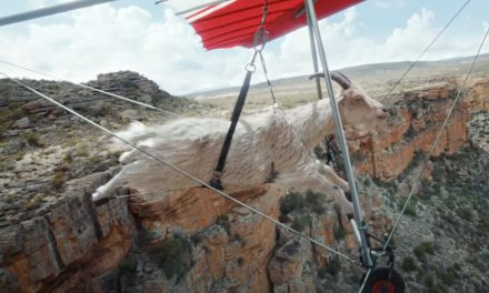 AdWatch: VIRGIN MEDIA | Goat Glider