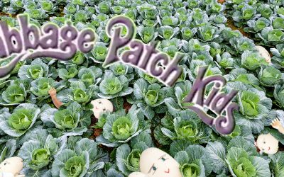 Our Favorite Toy Crazes: Cabbage Patch Kids Birthed New Tactics in 1983