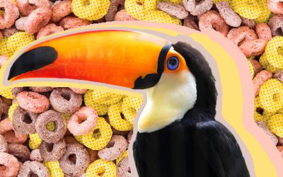 Kellogg’s Toucan Sam follows his beak to the Thanksgiving feast