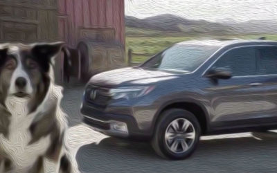 AdWatch: Honda | A New Truck to Love