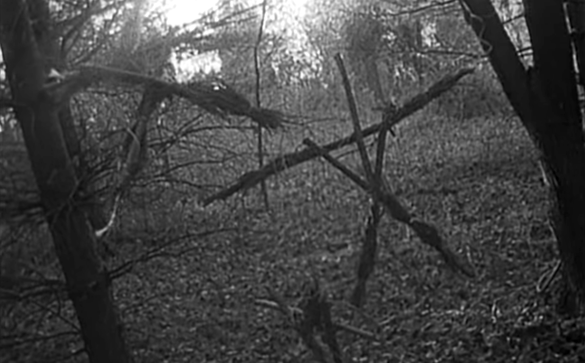 The Blair Witch Project Stick Figures