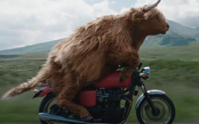 AdWatch: Virgin Media| Highland Rider