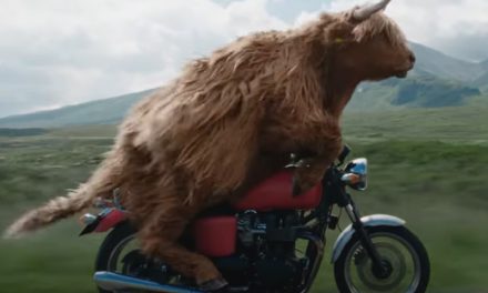 AdWatch: Virgin Media| Highland Rider