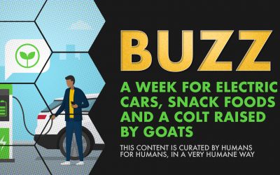 Weekly Buzz: A Week for Electric Cars, Snack Foods, and a Colt Raised by Goats