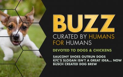 Weekly Buzz: Devoted to Dogs & Chickens