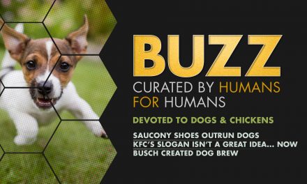 Weekly Buzz: Devoted to Dogs & Chickens