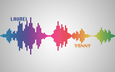 Social Phenomenons: Yanny Versus Laurel