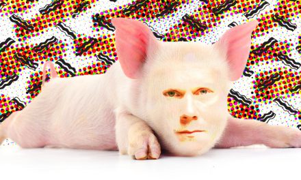 WATCH MOMA: Is Everything Better with (Kevin) Bacon?