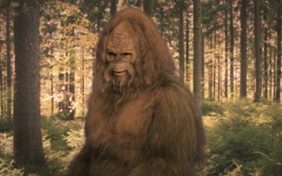 New Store Sells Elusive Sasquatch